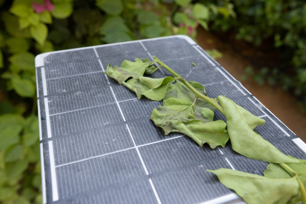 un impianto fotovoltaico poco produttivo con delle foglie che lo coprono